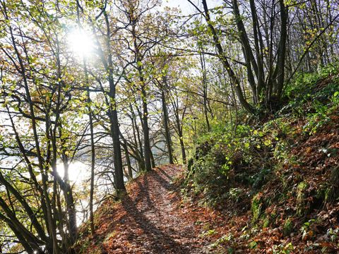 Vakantiepark Worriken - Liege