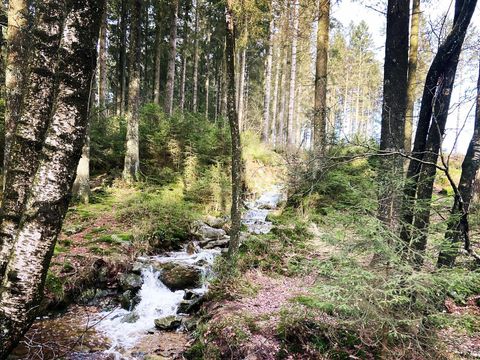 Camping Oos Heem - Liege - Image N°5