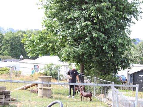 Camping Oos Heem - Liege - Image N°15