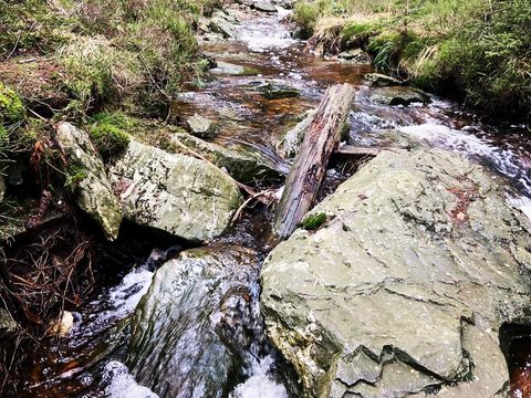 Camping Oos Heem - Liege - Image N°4