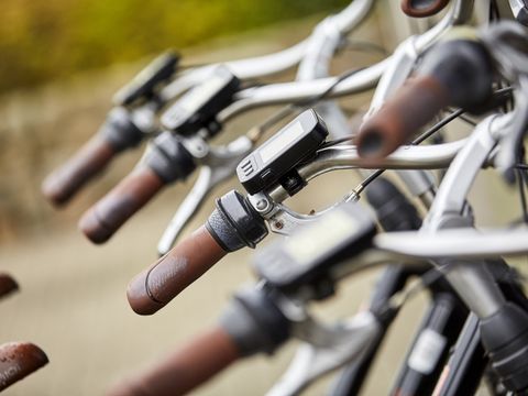 Vakantiepark Hof van Zeeland - Borsele