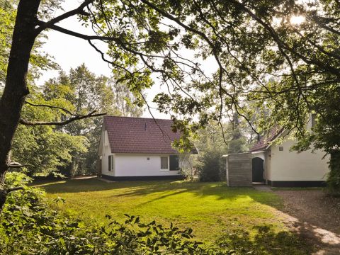 Summio Bungalowpark Het Drentse Wold - Camping Midden-Drenthe - Image N°5