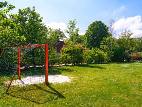 Summio Bungalowpark Het Drentse Wold - Camping Midden-Drenthe - Image N°4