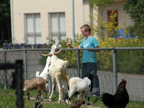 Vakantiepark 't Broeckhuys - Beuningen