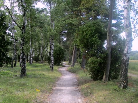 Ferienpark Heidesee - Lower Saxony - Image N°15