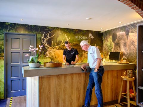 Vakantiepark De Bosrand - Epe - Image N°2