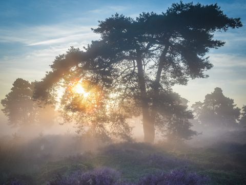 Vakantiepark Hölte - Rijssen-Holten - Image N°18