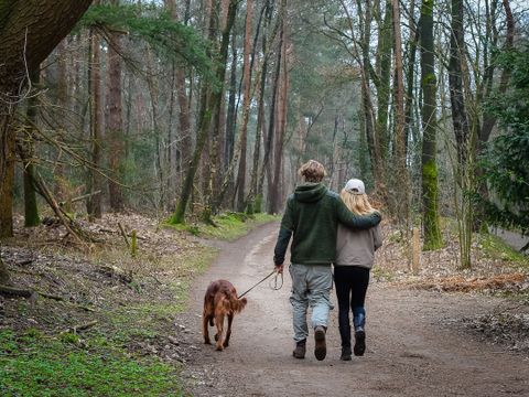 Vakantiepark Hölte - Rijssen-Holten