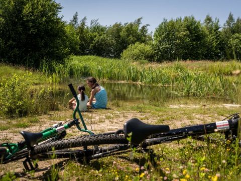 Landal Orveltermarke - Midden-Drenthe