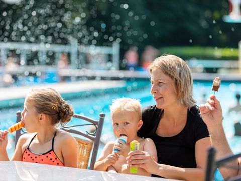 Landal Hunzepark - Aa en Hunze - Image N°2