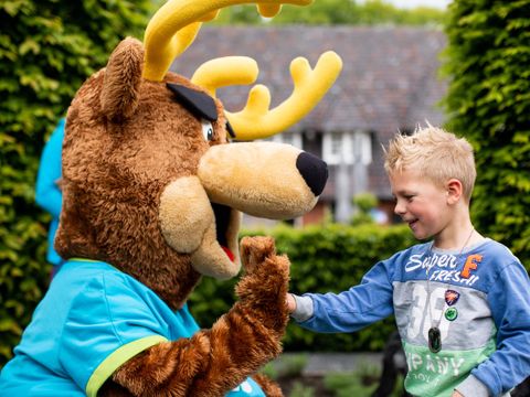 TopParken Landgoed de Scheleberg - Ede - Image N°9