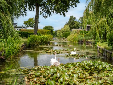 TopParken Park Westerkogge - Koggenland - Image N°30