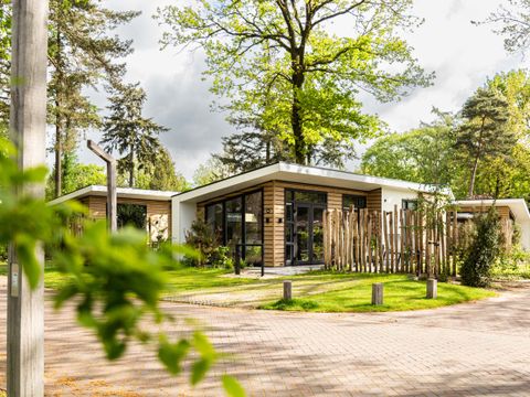 TopParken Bospark Ede - Ede - Image N°29