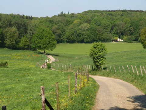 Buitenplaats De Mechelerhof - Gulpen-Wittem - Image N°7