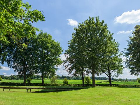 Buitenplaats De Mechelerhof - Gulpen-Wittem - Image N°20