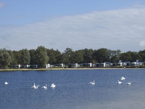 EuroParcs Bad Hoophuizen - Apeldoorn - Image N°50