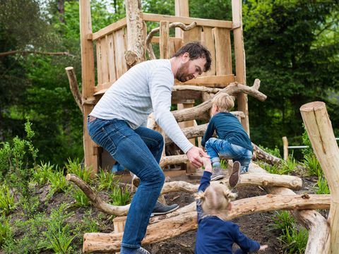 Landal Bungalowpark Hoenderloo - Apeldoorn - Image N°3