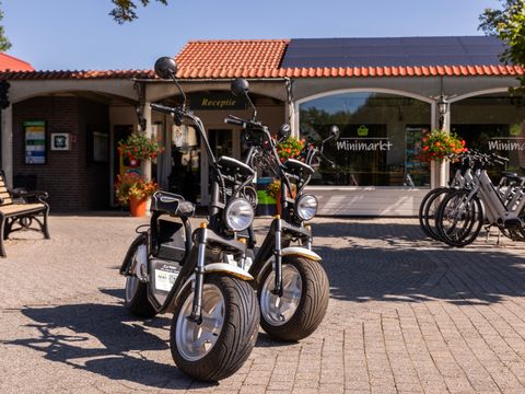 Summio Duc De Brabant - Hilvarenbeek