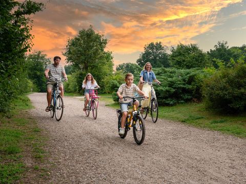 Veluwecamping 't Schinkel - Apeldoorn