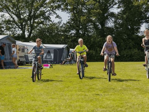 Camping de Vossenburcht - Staphorst - Image N°13