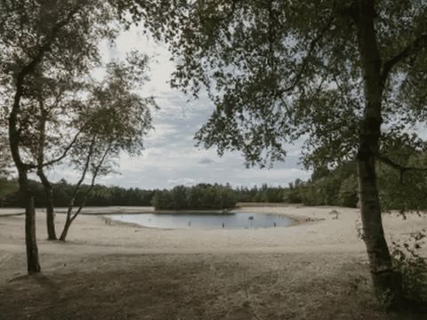 Camping de Vossenburcht - Staphorst - Image N°18