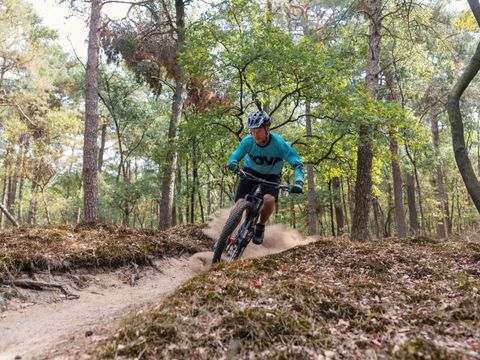 Vakantiepark Westerbergen - De Wolden