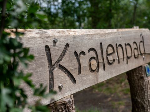 Vakantiepark Westerbergen - De Wolden - Image N°71
