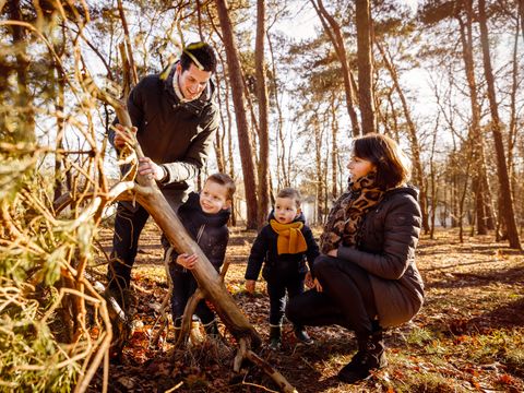 RCN Vakantiepark de Flaasbloem - Goirle - Image N°2