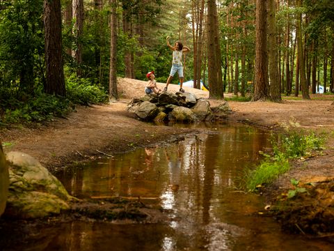 RCN Vakantiepark de Flaasbloem - Goirle - Image N°3