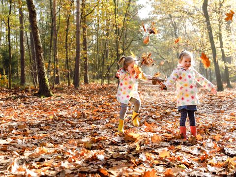 RCN Vakantiepark de Flaasbloem - Goirle