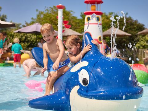 RCN Vakantiepark Toppershoedje - Goeree-Overflakkee - Image N°3