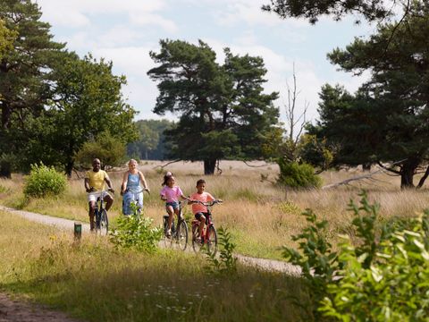 RCN Vakantiepark de Noordster - Westerveld - Image N°31