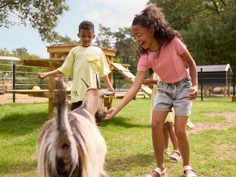RCN Vakantiepark de Noordster - Westerveld