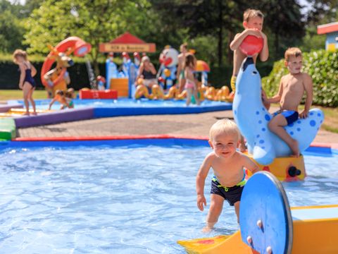 RCN Vakantiepark de Noordster - Westerveld - Image N°5