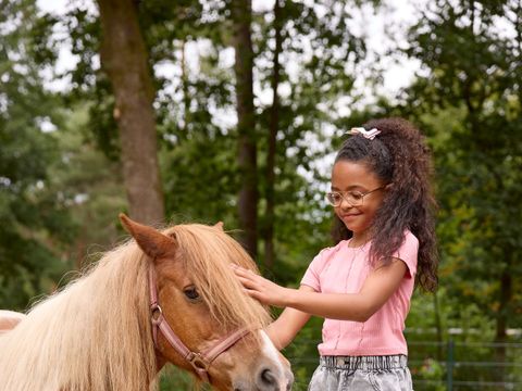 RCN Vakantiepark de Noordster - Westerveld