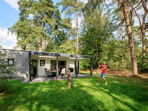 RCN Vakantiepark het Grote Bos - Utrechtse Heuvelrug - Image N°31