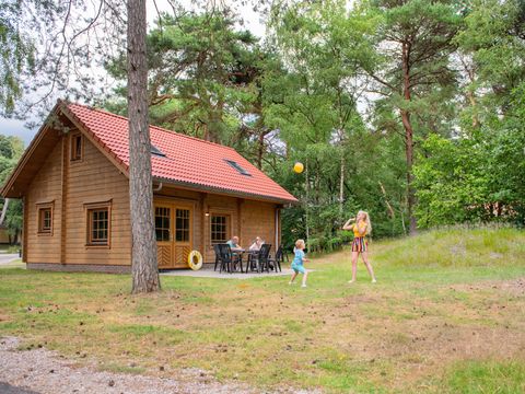 RCN Vakantiepark het Grote Bos - Utrechtse Heuvelrug - Image N°32