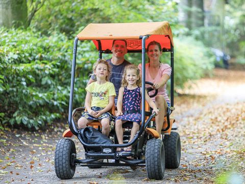 RCN Vakantiepark het Grote Bos - Utrechtse Heuvelrug