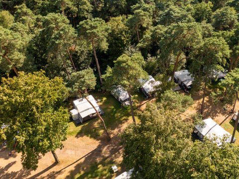 RCN Vakantiepark het Grote Bos - Utrechtse Heuvelrug - Image N°43