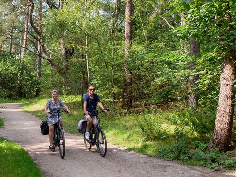 RCN Vakantiepark het Grote Bos - Utrechtse Heuvelrug