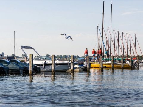 RCN Vakantiepark De Schotsman - Nord-Beveland - Image N°44