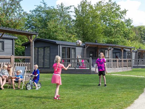 Molecaten Park 't Hout - Opsterland - Image N°25