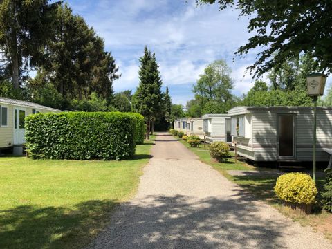 Ferienpark Eifellux - Camping Rhineland-Palatinate - Image N°0