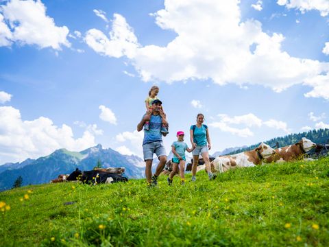 Landal Alpen Chalets Bad Kleinkirchheim - Carinthia