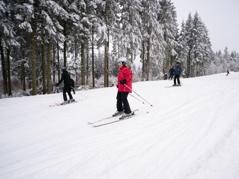 Center Parcs Park Hochsauerland - North Rhine-Westphalia