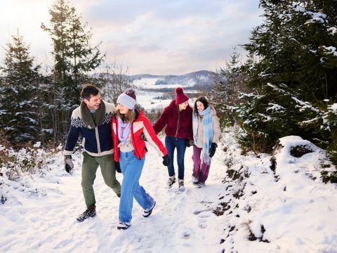 Center Parcs Park Hochsauerland - North Rhine-Westphalia - Image N°2