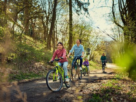 Center Parcs Park Hochsauerland - North Rhine-Westphalia