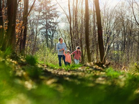 Center Parcs Park Hochsauerland - North Rhine-Westphalia - Image N°5