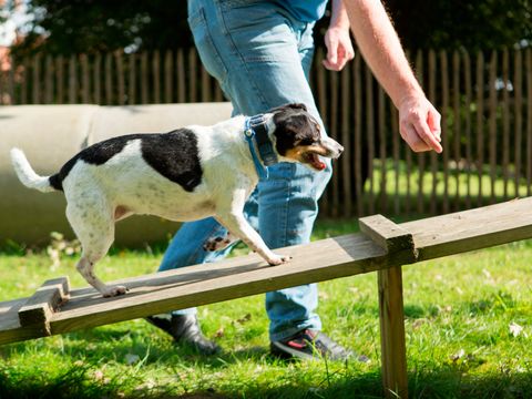 Landal Dwergter Sand - Lower Saxony