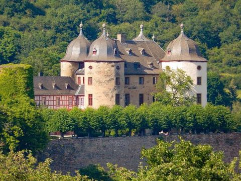 Ferienpark Hambachtal - Rhineland-Palatinate - Image N°17